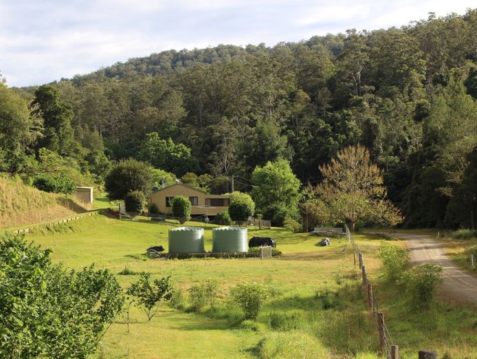 sustainable-hazelnut-amp-agritourism-business-opportunity-6