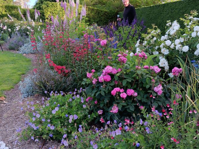 award-winning-maze-garden-caf-amp-gallery-with-events-venue-amp-residence-4