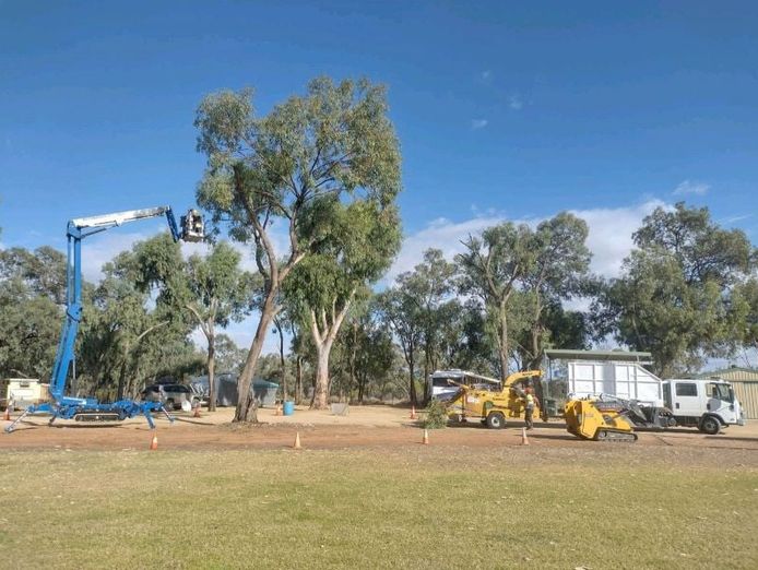 dynamic-woodsman-of-waikerie-a-rare-opportunity-expressions-of-interest-1