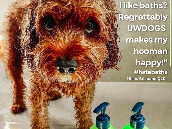 award-winning-australian-dog-haircare-brand-with-global-e-commerce-opportunity-7