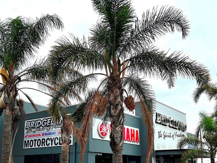 bridgeland-motorcycles-dealership-sales-amp-service-freehold-available-1