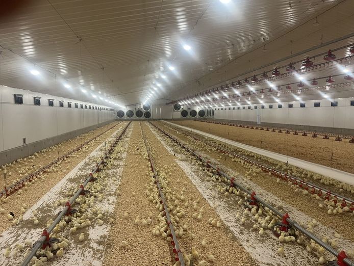 thriving-agritech-business-with-global-reach-and-proven-success-1