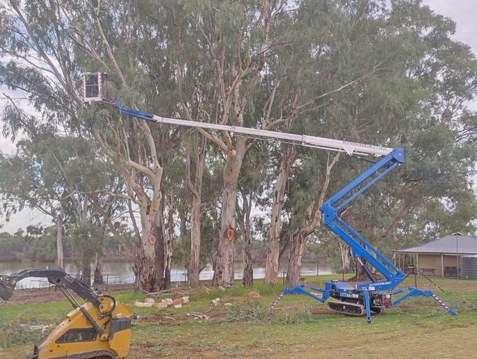 dynamic-woodsman-of-waikerie-a-rare-opportunity-expressions-of-interest-3
