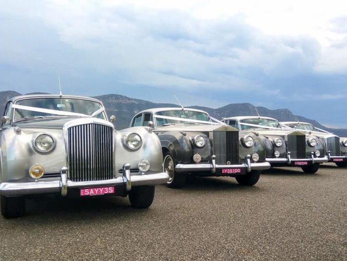 partime-business-opportunity-established-wedding-car-business-sydney-1