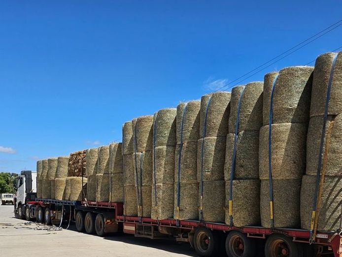 business-for-sale-thriving-rural-retail-store-5