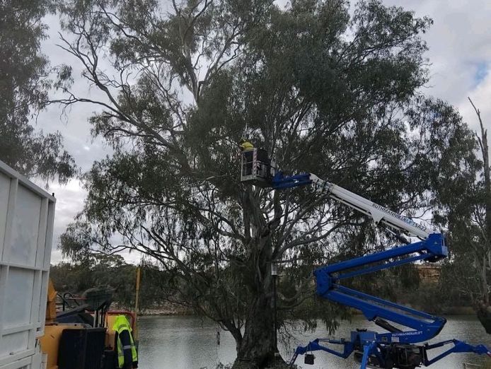dynamic-woodsman-of-waikerie-a-rare-opportunity-expressions-of-interest-5