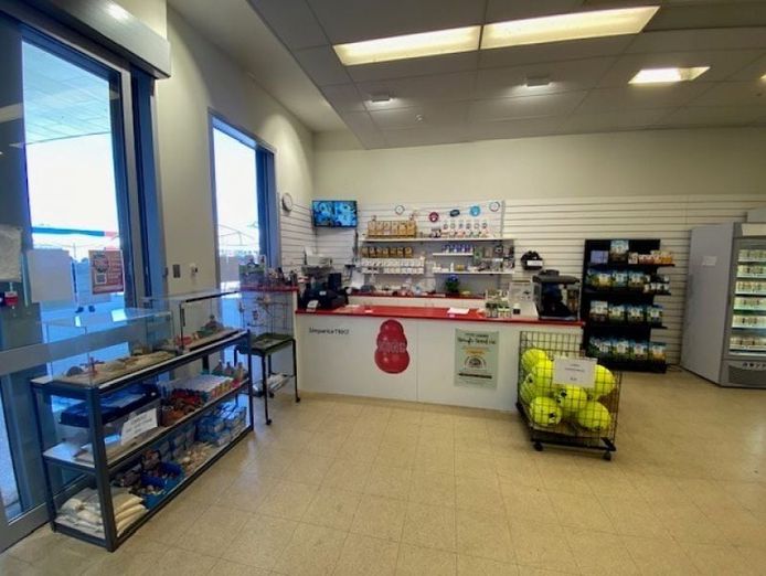 northam-39-s-only-pet-store-for-sale-4