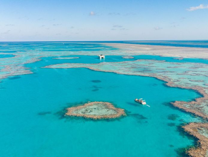 well-established-yacht-management-business-of-7-years-7