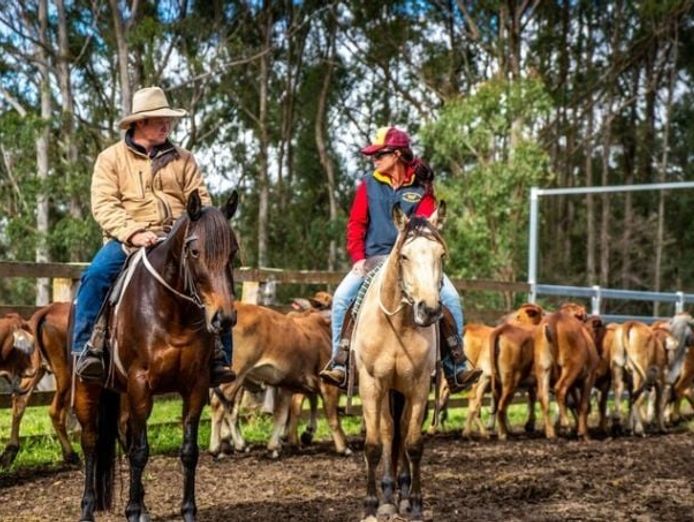 agriculture-recreation-and-luxe-accommodation-development-opportunity-0
