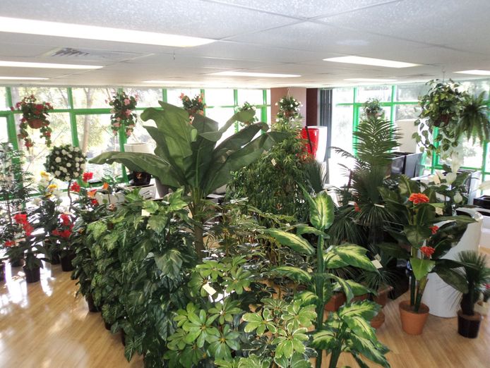 import-wholesale-of-fibreglass-planters-3