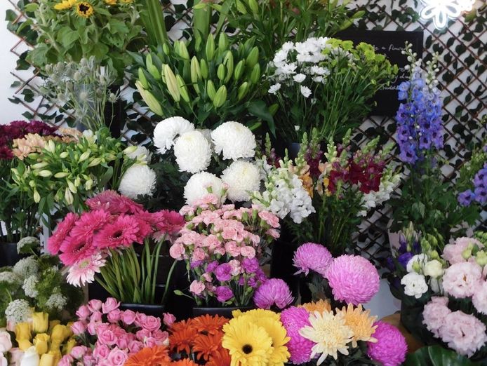 excellent-florist-priced-to-sell-1