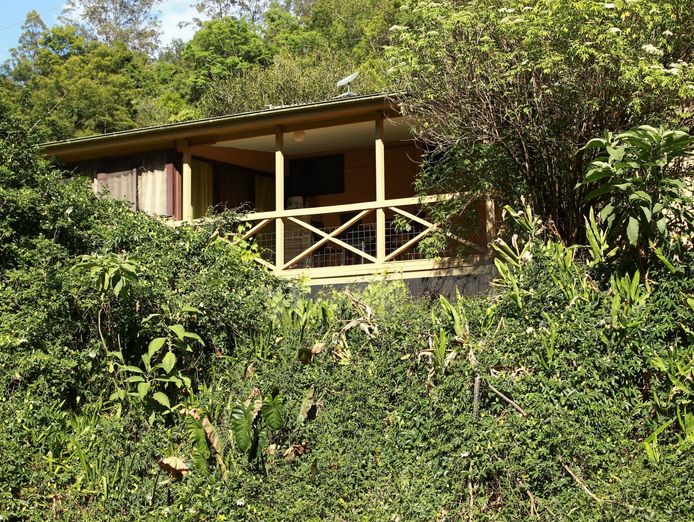 sustainable-hazelnut-amp-agritourism-business-opportunity-3