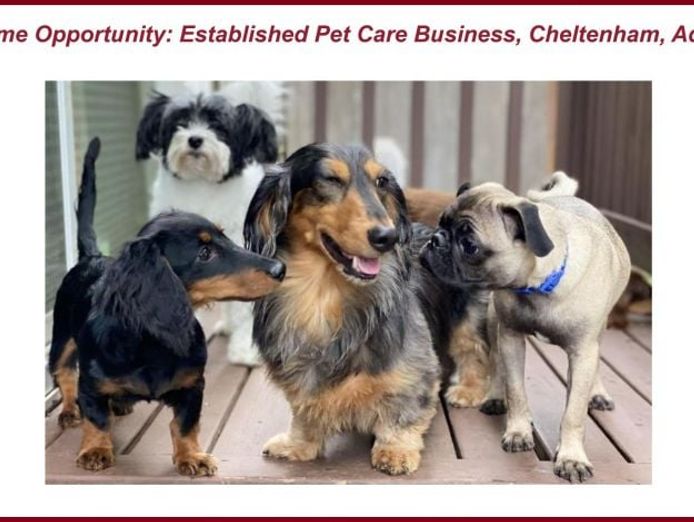 pawsome-opportunity-established-pet-care-business-in-adelaide-0