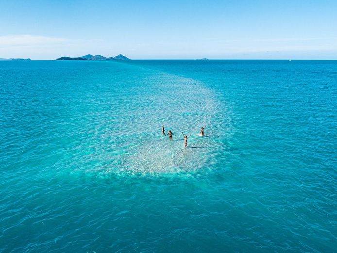 well-established-yacht-management-business-of-7-years-4