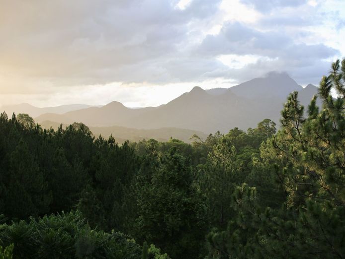 creative-coastal-lifestyle-business-art-printing-picture-framing-2