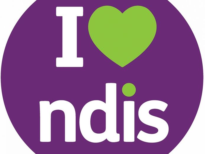 virtual-ndis-micro-business-platform-flexible-scalable-amp-high-margin-0