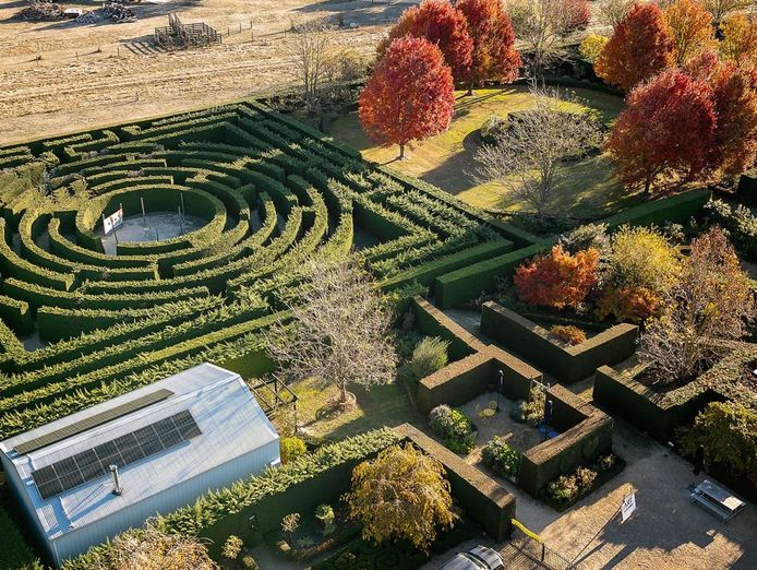award-winning-maze-garden-caf-amp-gallery-with-events-venue-amp-residence-1