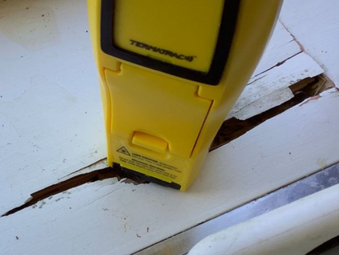 queensland-pest-inspections-amp-reports-gold-coast-5