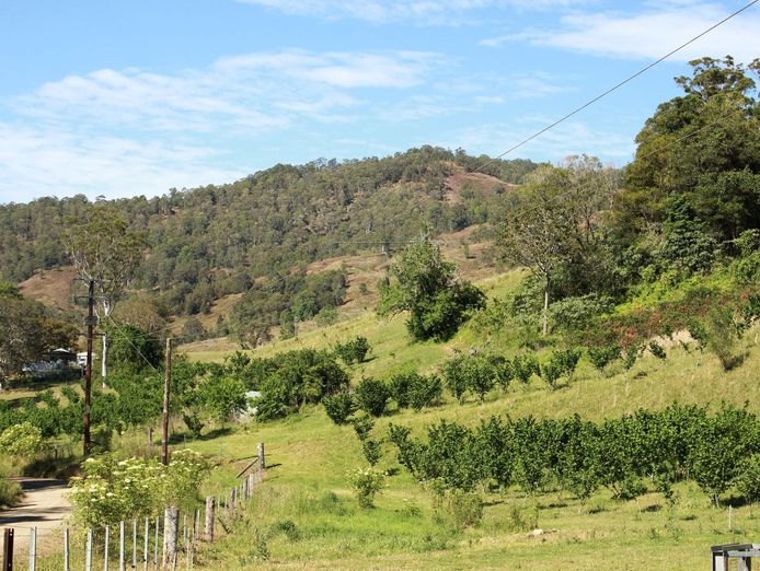 sustainable-hazelnut-amp-agritourism-business-opportunity-8