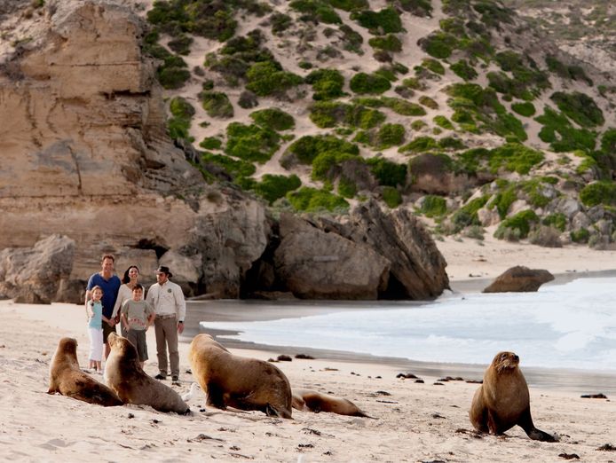 award-winning-ecostar-tourism-business-kangaroo-island-6