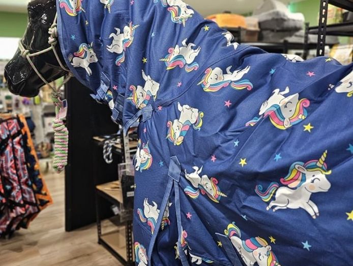 business-for-sale-thriving-rural-retail-store-7