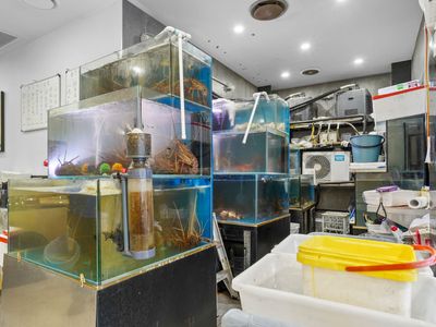 established-hong-kong-seafood-bbq-restaurant-sunnybank-hills-7