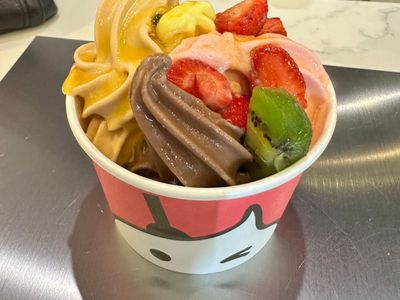 self-serve-frozen-yogurt-business-for-sale-westfield-parramatta-9
