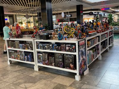 established-20-year-pop-culture-business-for-sale-4