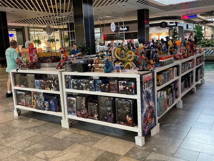 established-20-year-pop-culture-business-for-sale-4