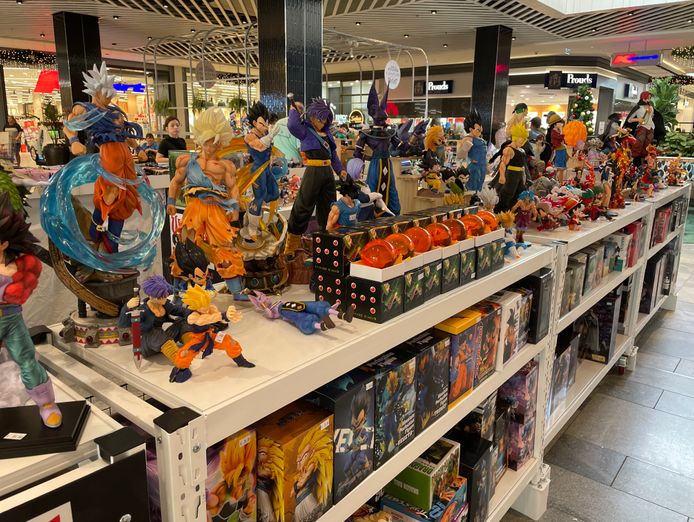 established-20-year-pop-culture-business-for-sale-3