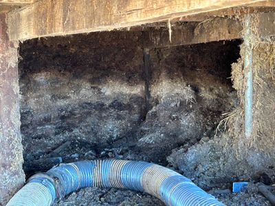 agri-essential-service-business-for-sale-4