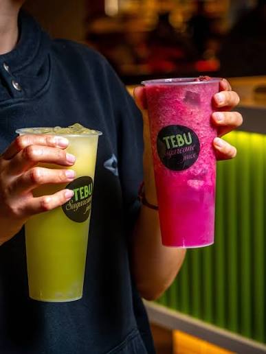 Tebu Logo