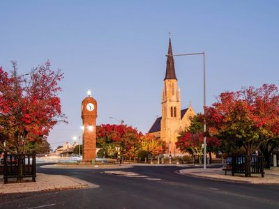coach-charter-business-regional-nsw-0