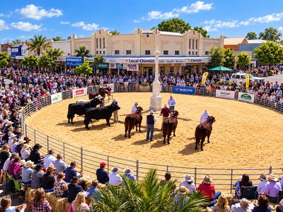 windfall-opp-da-approved-24-7-gym-best-street-casino-nsw-7
