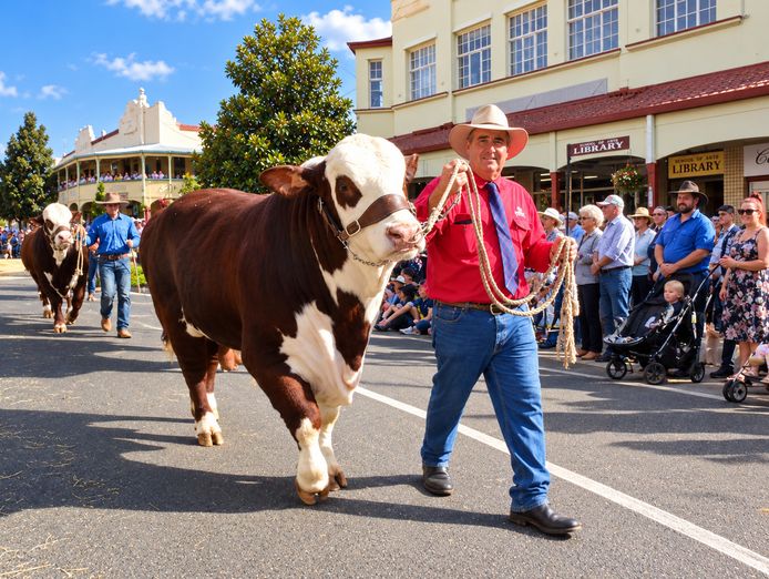 windfall-opp-da-approved-24-7-gym-best-street-casino-nsw-8