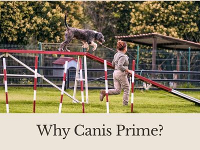 canis-prime-premium-australian-dog-supplement-brand-7
