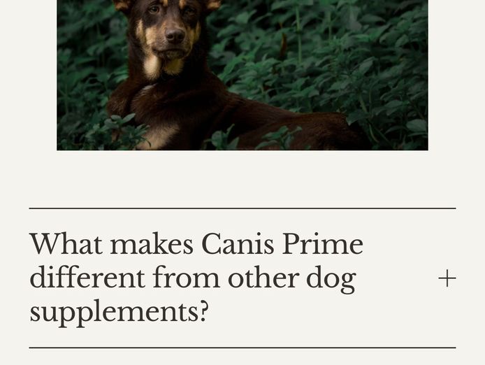 canis-prime-premium-australian-dog-supplement-brand-3