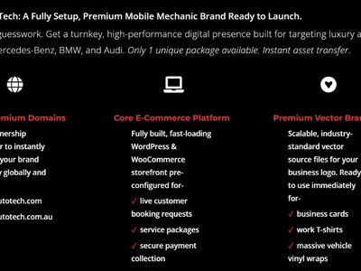 rrp-15000-online-mechanic-business-for-sale-prestige-mrautotech-mobile-brands-7