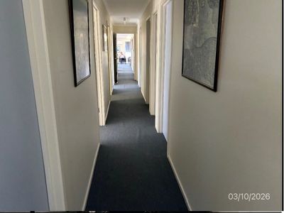 iconic-moorabbin-flight-school-for-sale-1