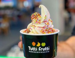 Tutti Frutti Famous Frozen Yogurt | Food Franchise