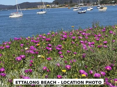established-licensed-cafe-bar-short-trading-hours-ettalong-beach-0