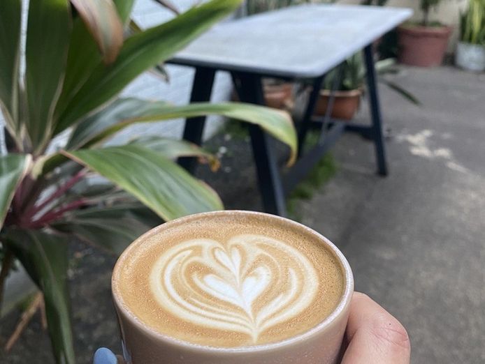 established-licensed-cafe-bar-short-trading-hours-ettalong-beach-1