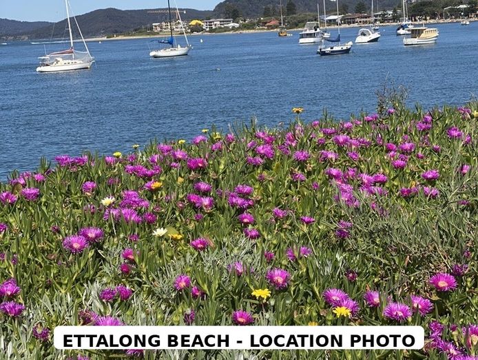 established-licensed-cafe-bar-short-trading-hours-ettalong-beach-0