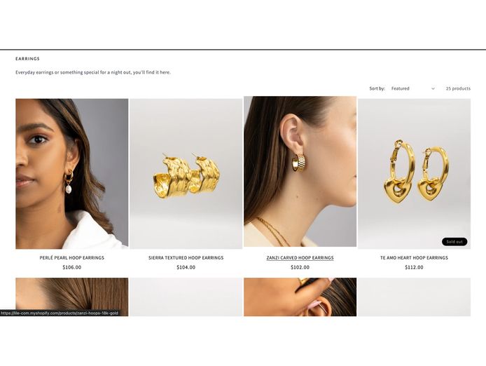 premium-jewellery-ecommerce-business-package-shopify-store-supplier-network-7