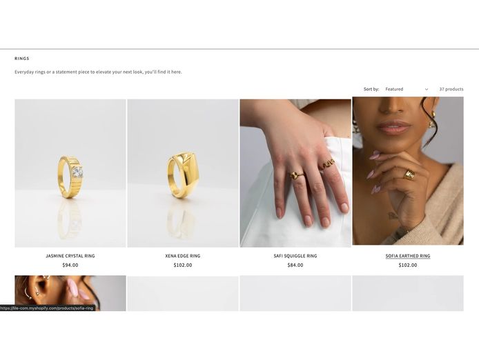 premium-jewellery-ecommerce-business-package-shopify-store-supplier-network-1