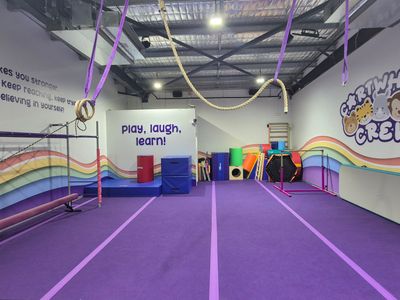 established-childrens-gymnastics-and-master-franchise-opportunity-3