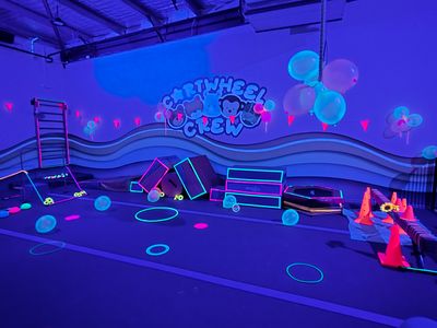established-childrens-gymnastics-and-master-franchise-opportunity-5