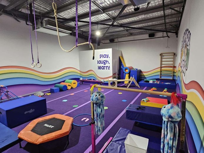 established-childrens-gymnastics-and-master-franchise-opportunity-1