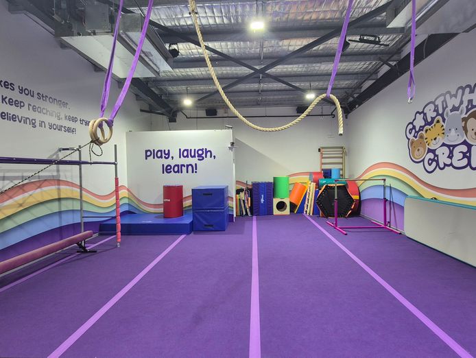 established-childrens-gymnastics-and-master-franchise-opportunity-3