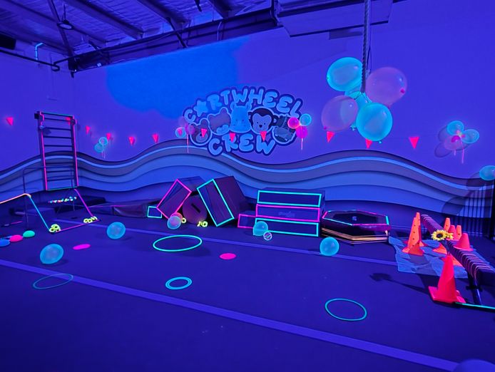 established-childrens-gymnastics-and-master-franchise-opportunity-5